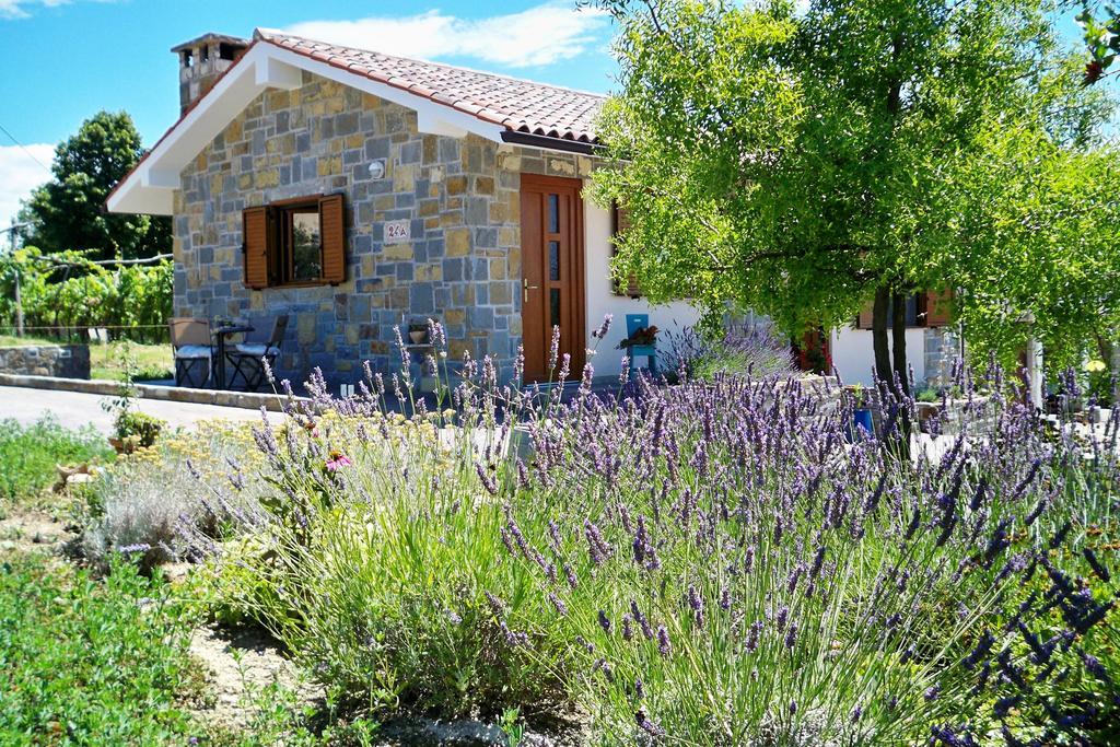 Holiday House Ida Marezige Εξωτερικό φωτογραφία