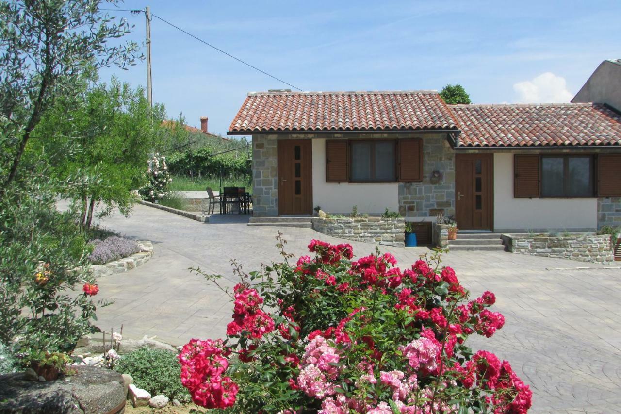 Holiday House Ida Marezige Εξωτερικό φωτογραφία